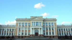 Купить диплом программиста в Домодедово